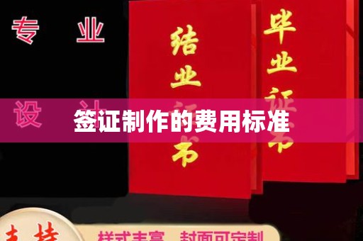 宁乡签证制作的费用标准